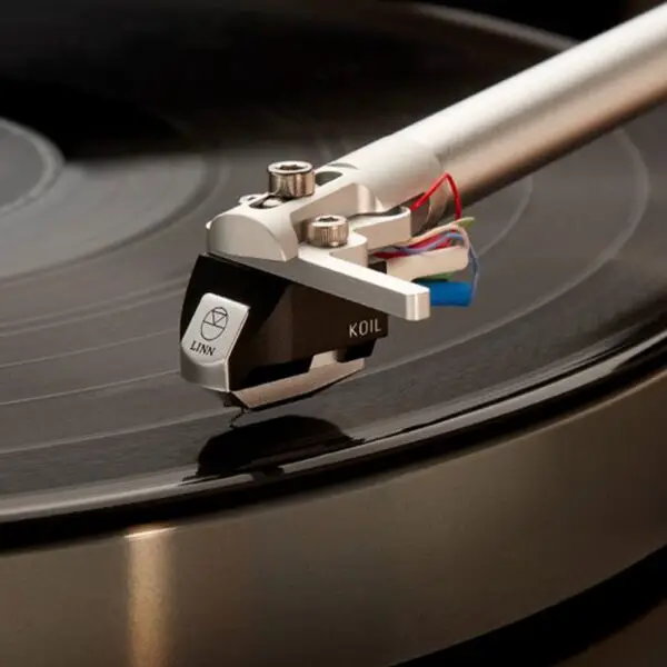 Linn Koil_2 Linn - Koil MC