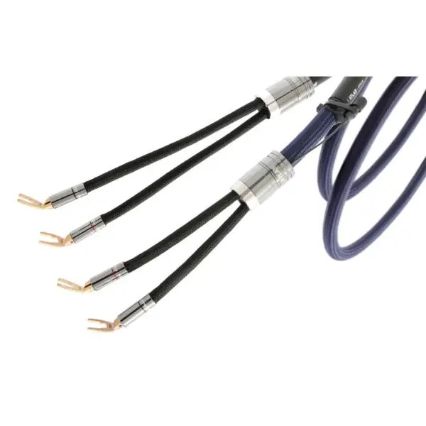 Arran transpose Arran transpose