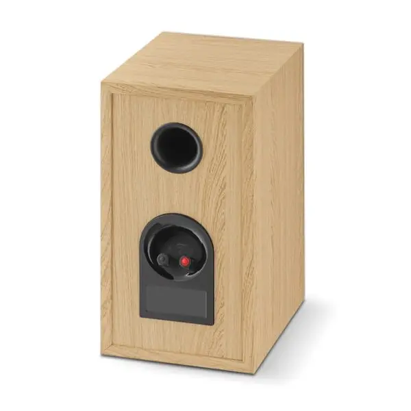 Focal Theva N1 Back side Focal - Theva N°1 zvučnici