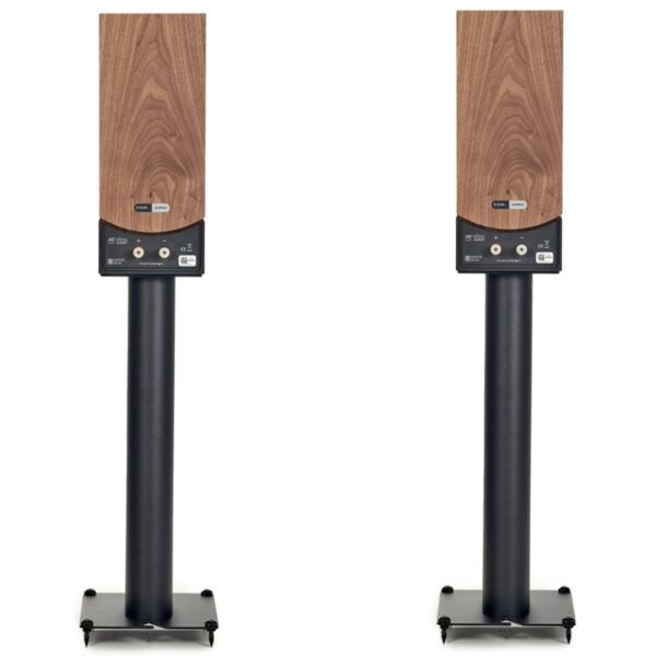 PMC Phropecy1 back side PMC Phropecy1 back side