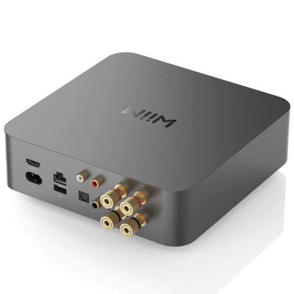 Wiim Amp Pro Back side