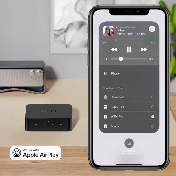 WiiM Pro mrežni audio streamer s podrškom za Apple AirPlay 2 - Audio Dream